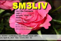 00713-SM3LIV